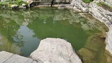 旅行拍摄千灯湖岩石湖水视频的预览图